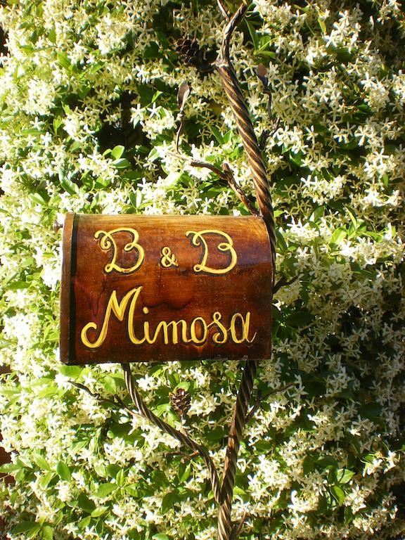 Bed And Breakfast Mimosa Cascina Exterior foto